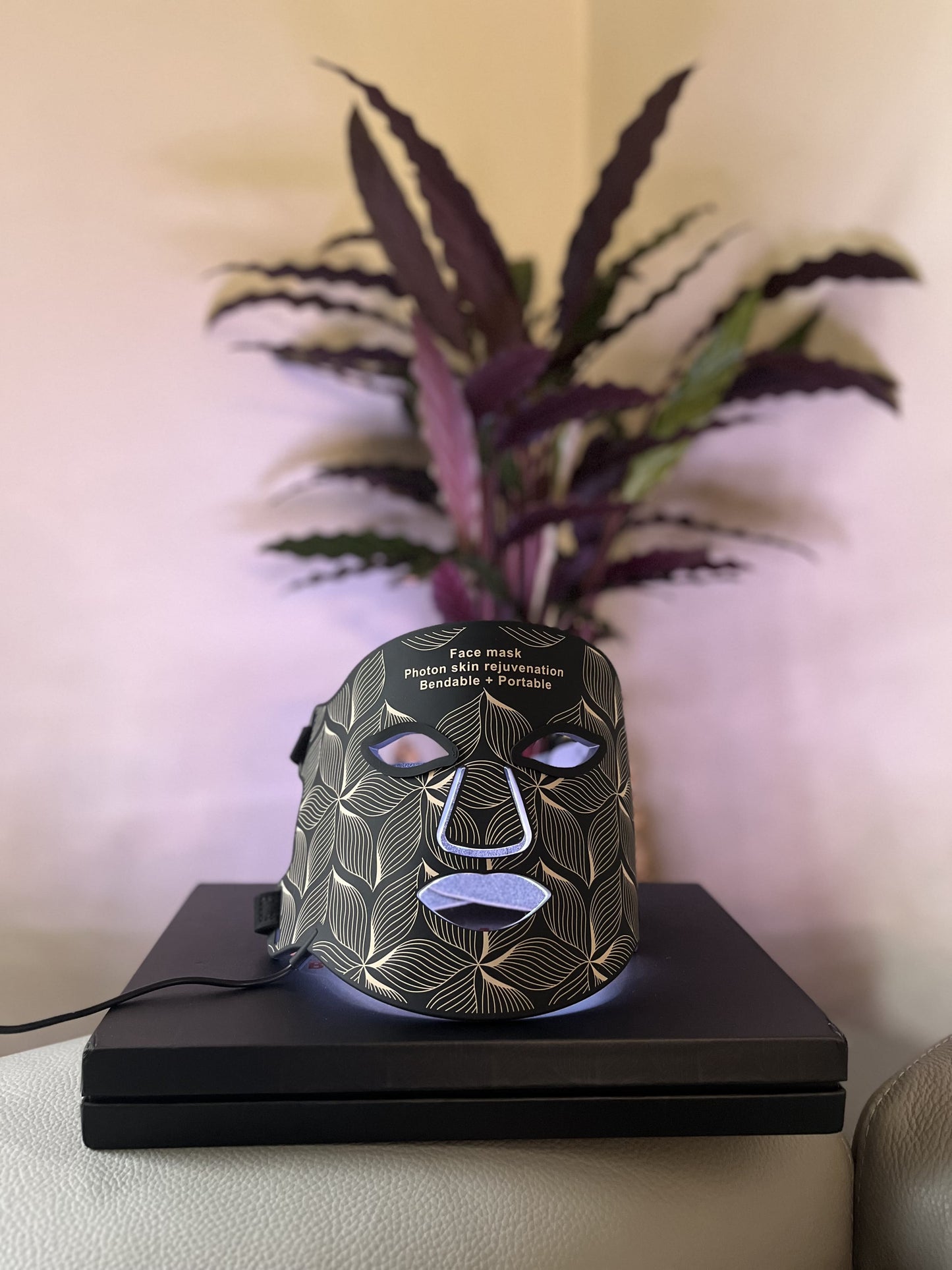 Masque Led visage