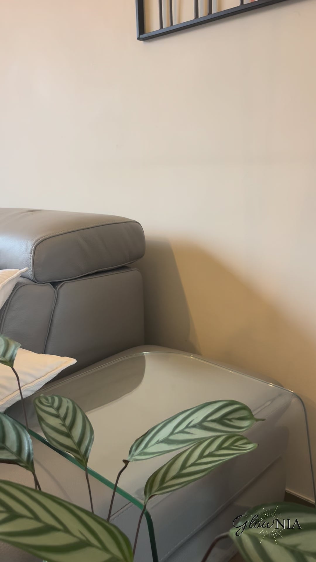 Charger la vidéo : 