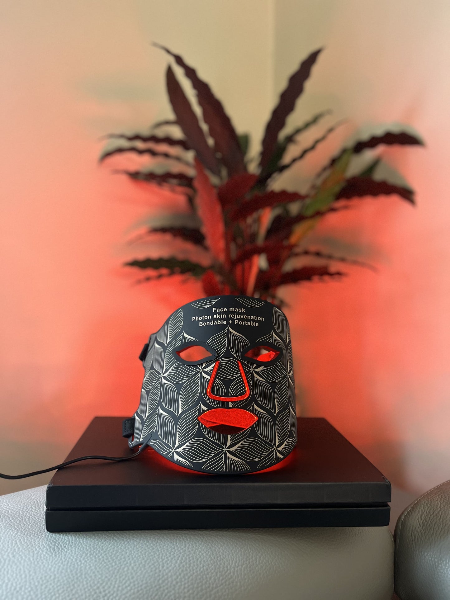 Masque Led visage